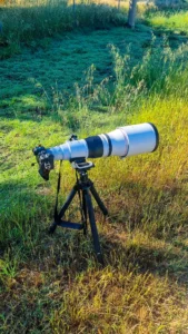 A large telephoto lens mounted on a camera and tripod positioned in tall grass during early morning light, ready for wildlife photography.