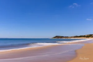 Gentle waves along a golden beach beneath a clear blue sky on Phillip Island