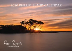 Sunset behind silhouetted trees over calm water on Phillip Island